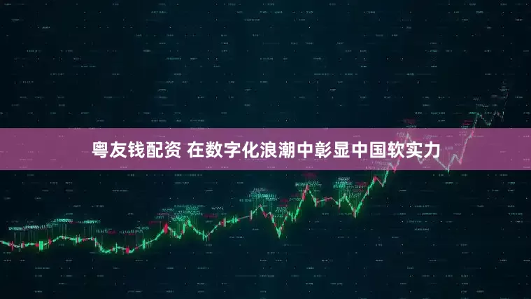 粤友钱配资 在数字化浪潮中彰显中国软实力