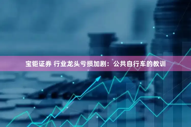 宝钜证券 行业龙头亏损加剧：公共自行车的教训
