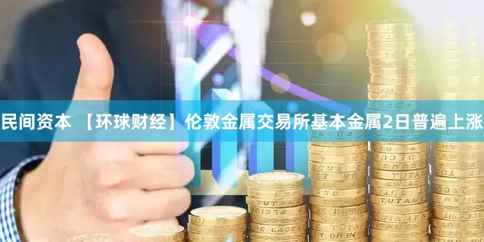 民间资本 【环球财经】伦敦金属交易所基本金属2日普遍上涨
